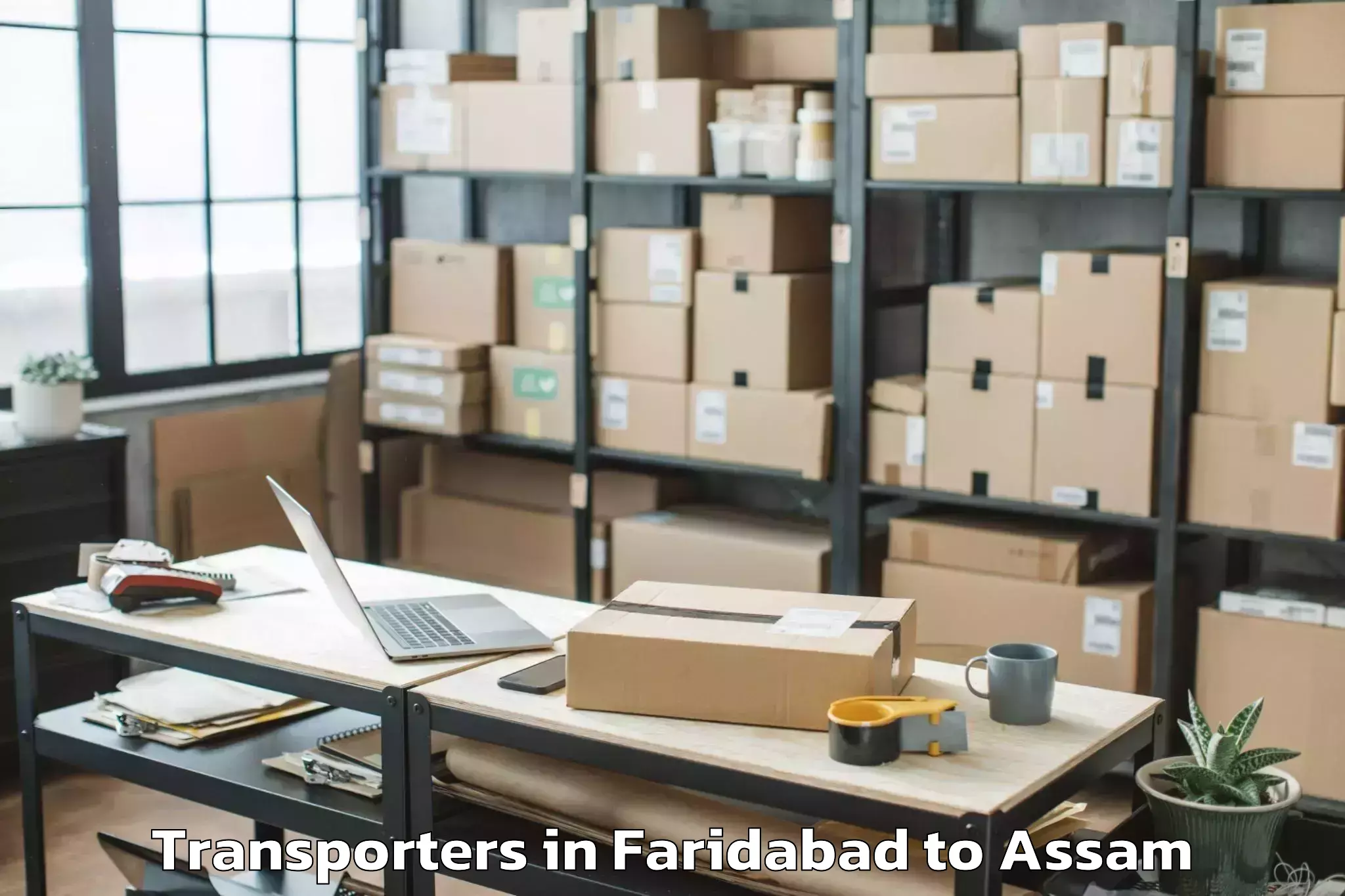 Book Faridabad to Dokmoka Transporters Online